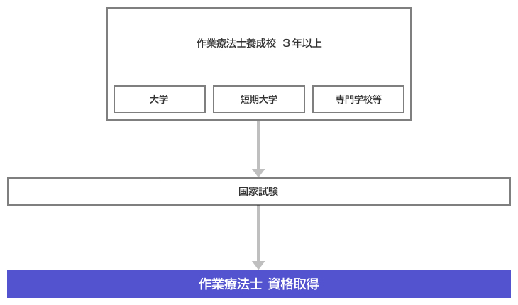 作業療法士 取得ルート