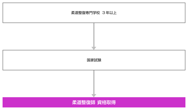 柔道整復師 取得ルート